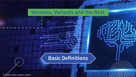  Versions, Variants & the rest – Basic Definitions